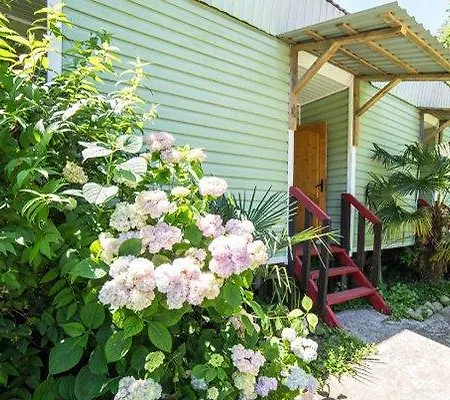 Золотая Бухта База Отдыха Pizunda Exterior photo